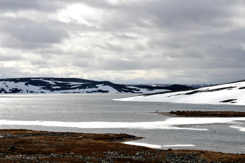 DSC_3383 IN.jpg