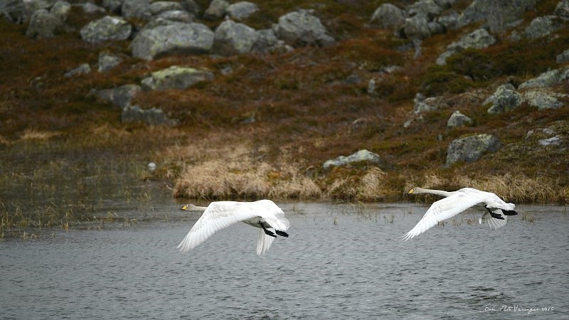 DSC_0407 IN.jpg
