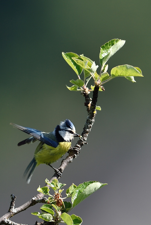 DSC_9613.jpg