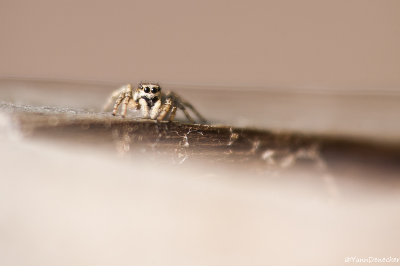05042015-JG9C4829.jpg