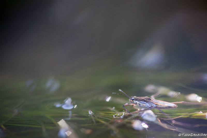 12042015-JG9C5040.jpg