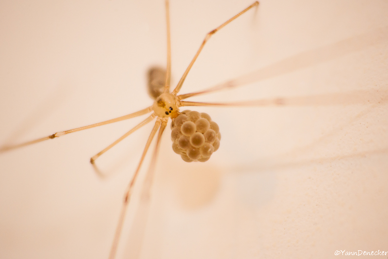 27042015-JG9C6481.jpg
