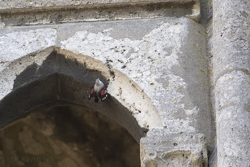chartres_08-11-2015-16-50-51_0280.jpg