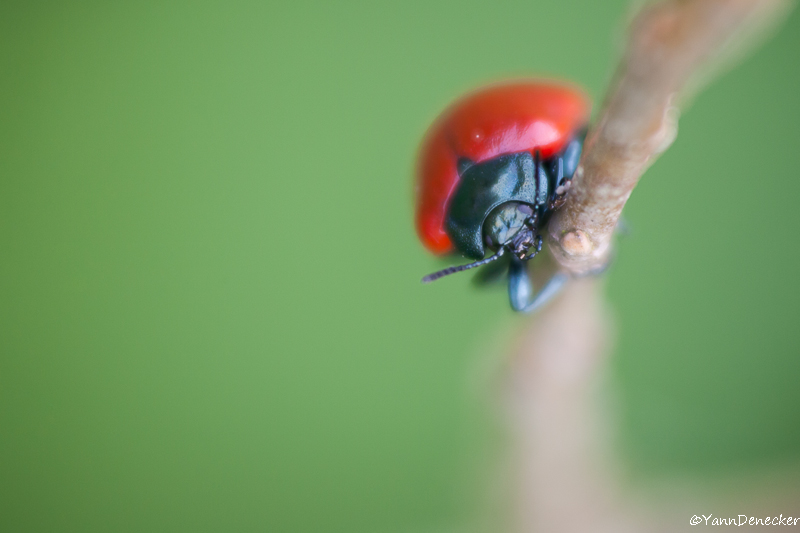 10052015-JG9C6864.jpg