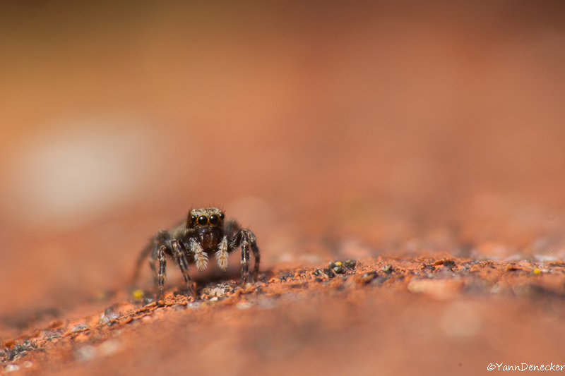 13052015-JG9C6910.jpg