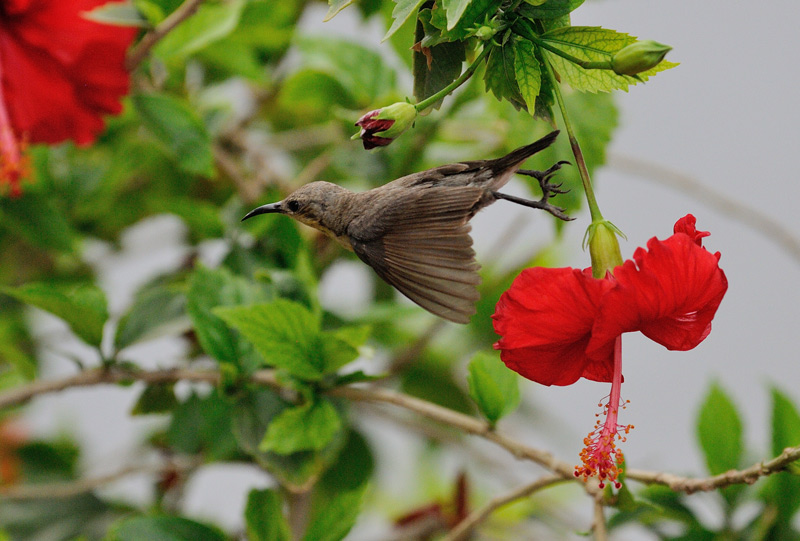 DSC_3542.jpg