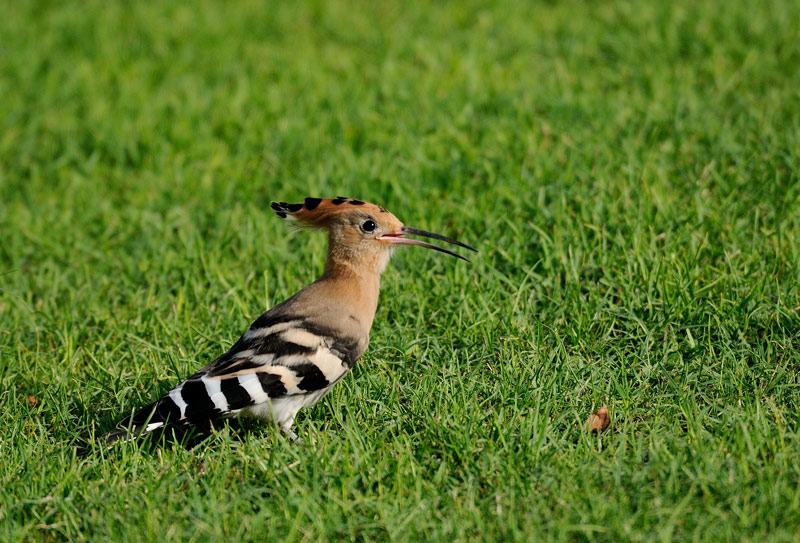 DSC_3905.jpg