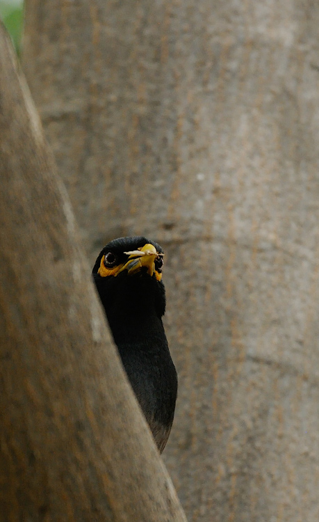 DSC_3499.jpg