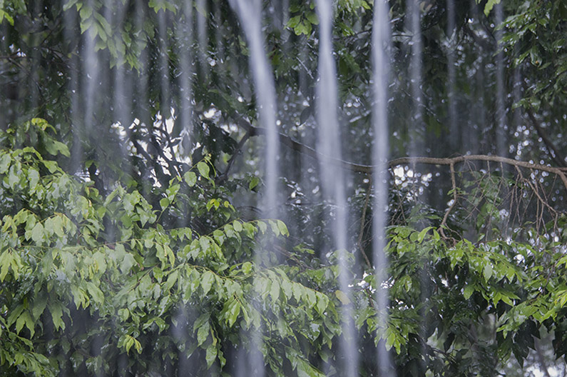 47-Pluie vespérale.jpg