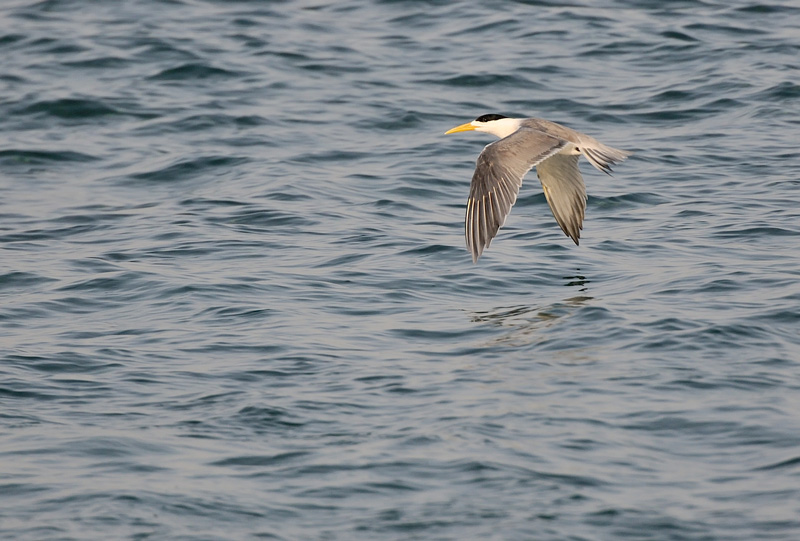 DSC_3970.jpg