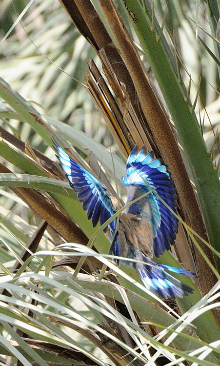 DSC_3750.jpg
