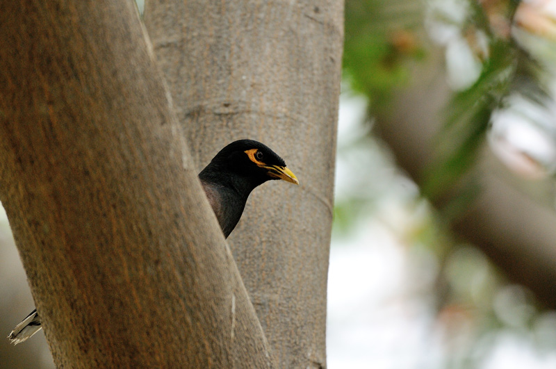 DSC_3501.jpg