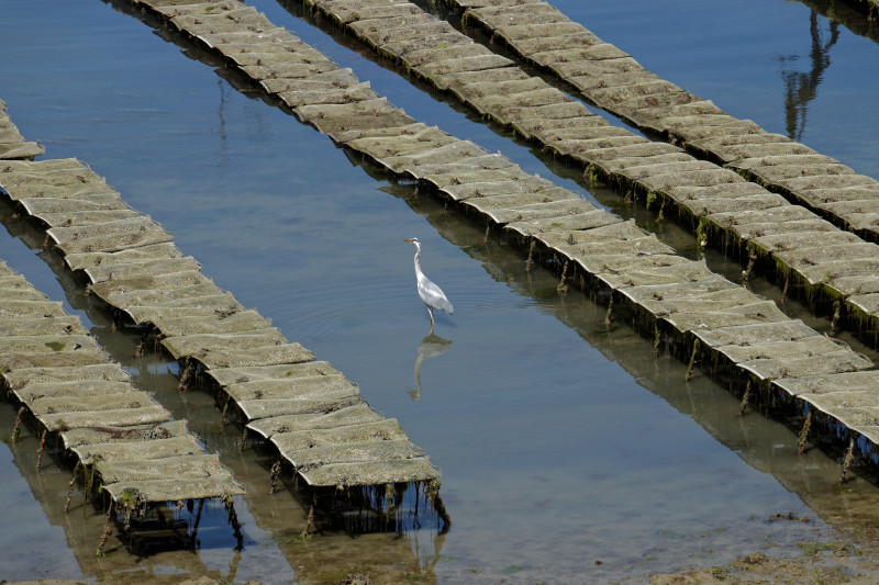 IMG_1224_DxO.jpg