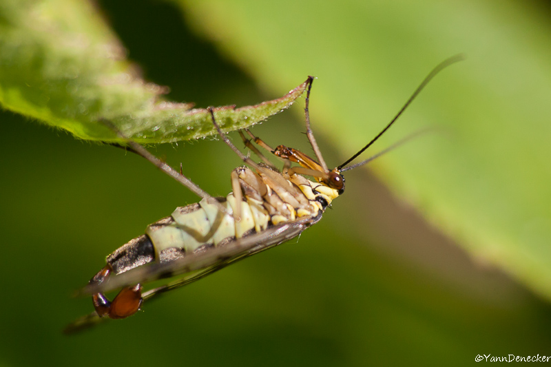 07062015-JG9C7353.jpg