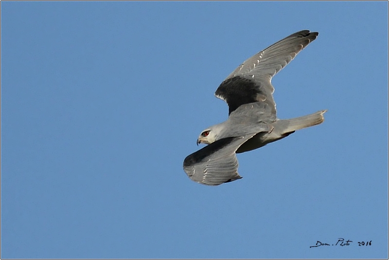 DSC_9645 4.jpg
