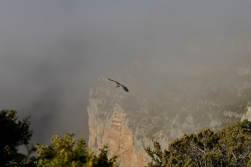 DSC_9987 BIS.jpg