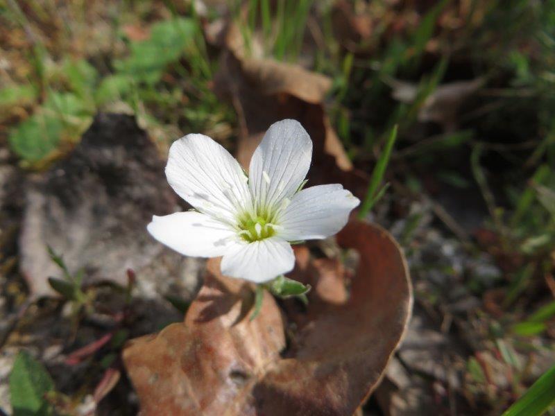 attente repAVRIL 2015 (100).jpg