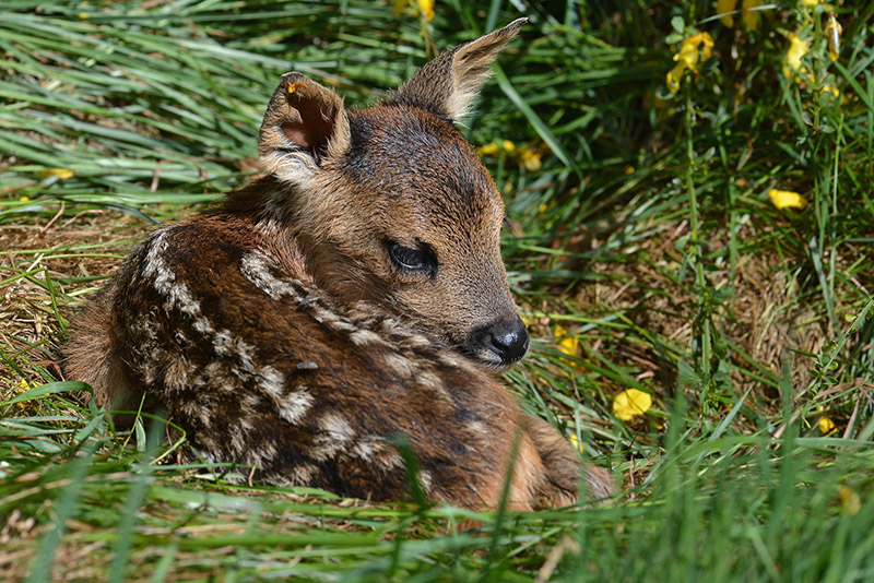 DSC_9553f.jpg