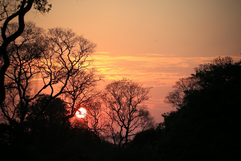 60 Coucher de soleil.jpg