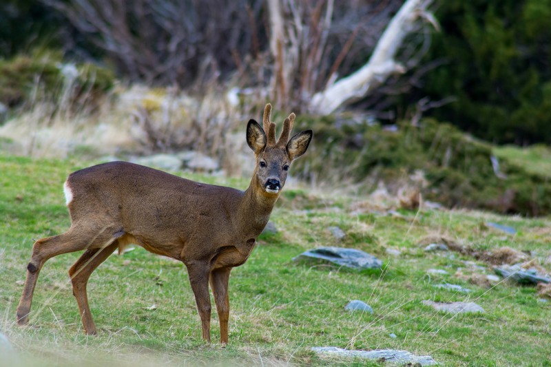 13042015-DSC_0166.jpg