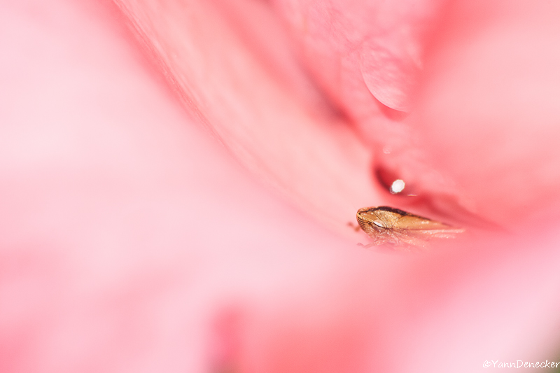 21062015-JG9C7453.jpg