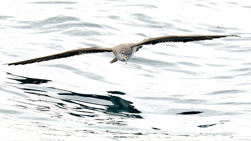 DSC_3024 IN.jpg