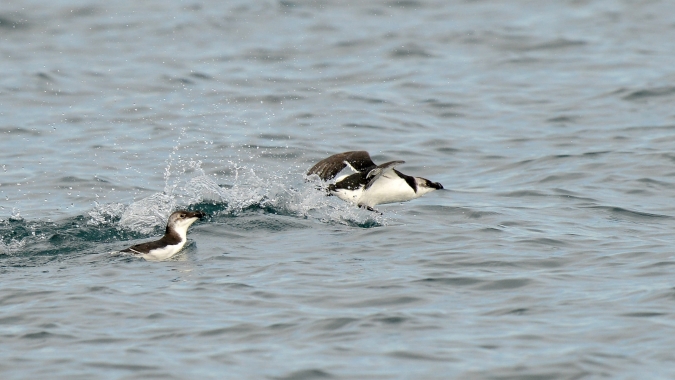 DSC_2900  4.jpg
