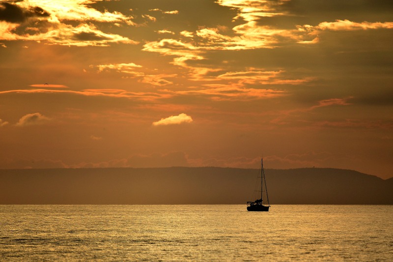 DSC_3260 IN.jpg