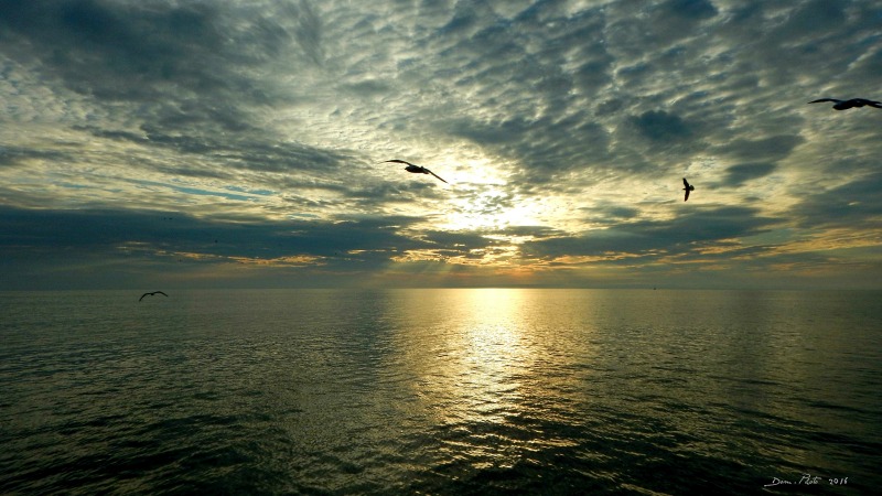 DSCN0062 IN.jpg