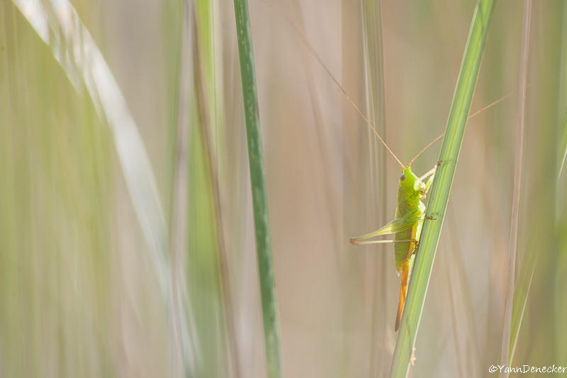 23072015-JG9C1442.jpg