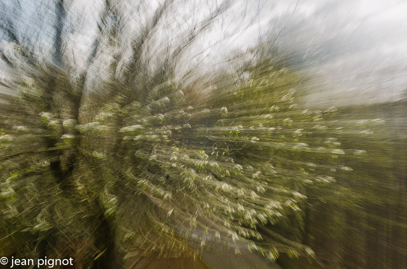 explozoom de printemp-2.jpg
