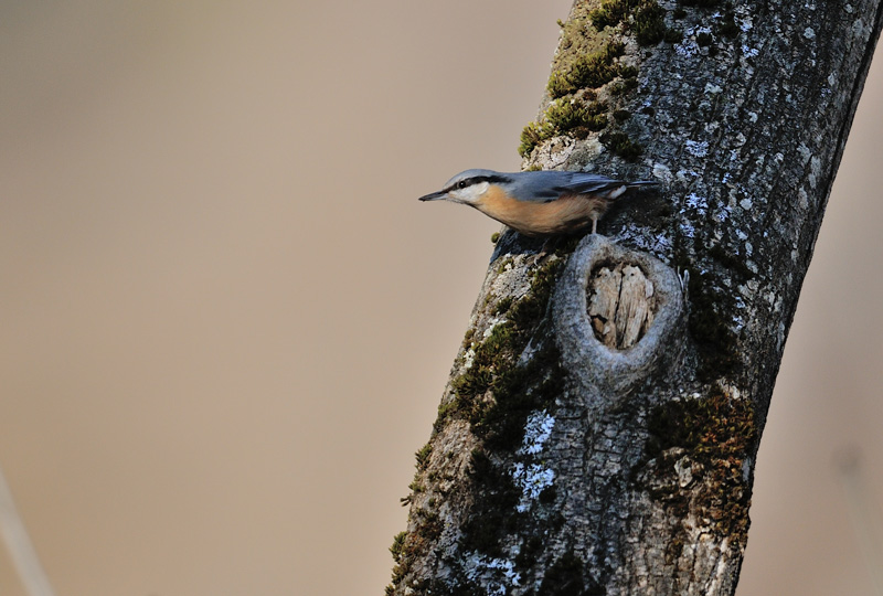 DSC_5512.jpg