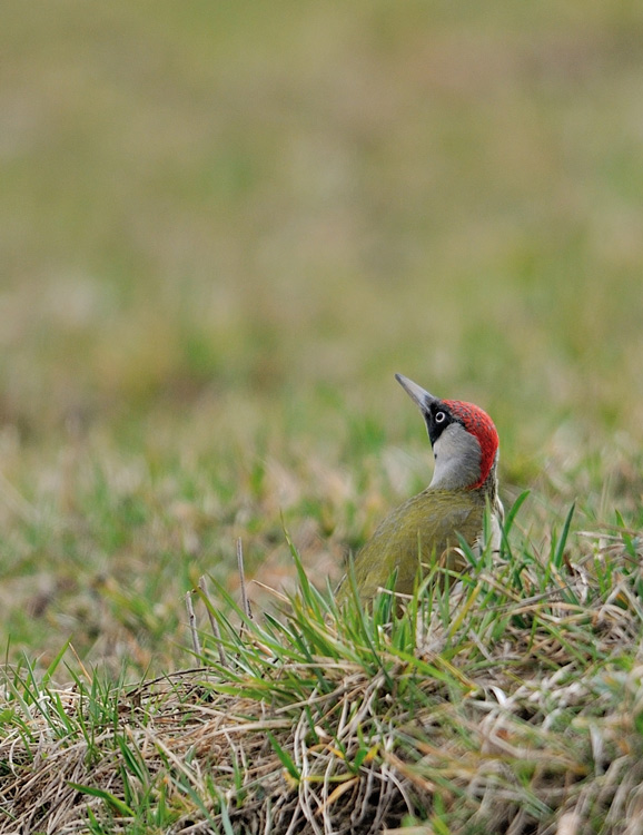 DSC_6139.jpg