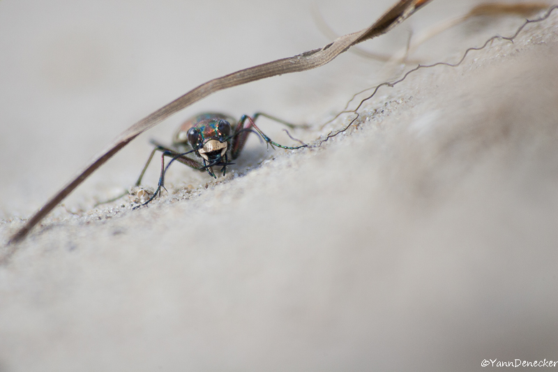 23072015-JG9C1479.jpg