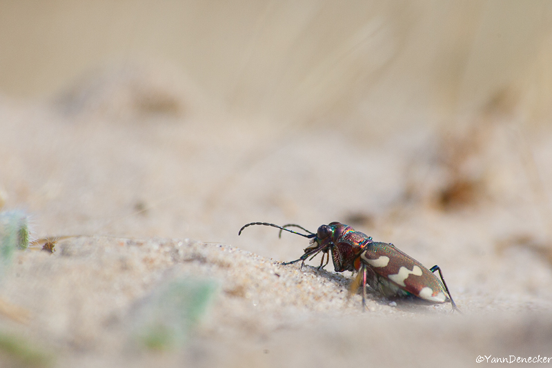 23072015-JG9C1489.jpg