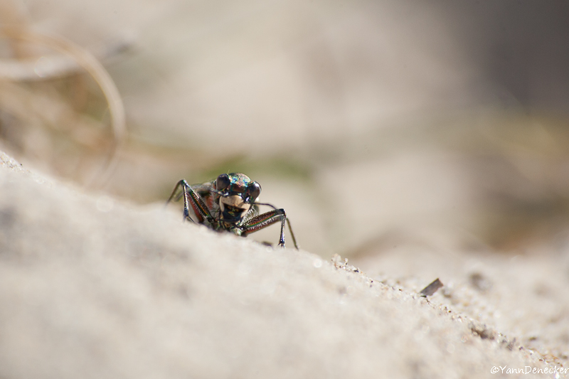 23072015-JG9C1517.jpg