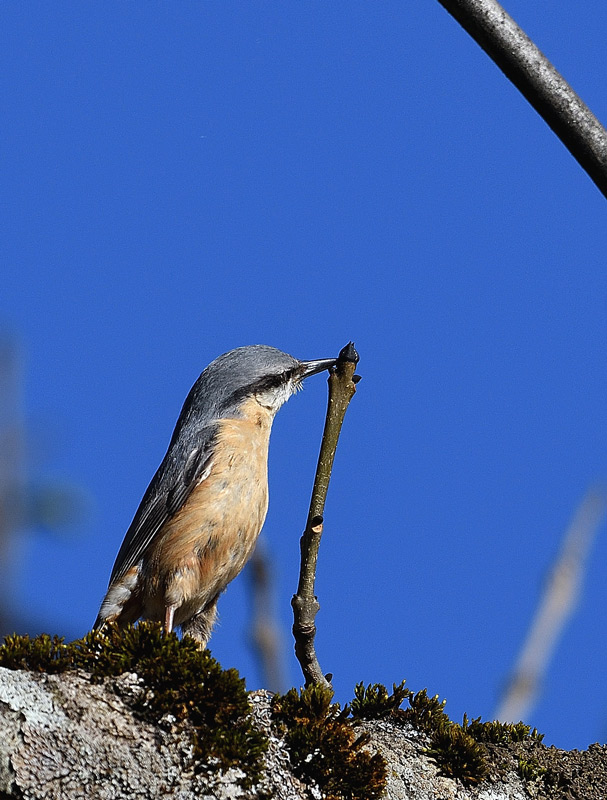DSC_0402.jpg