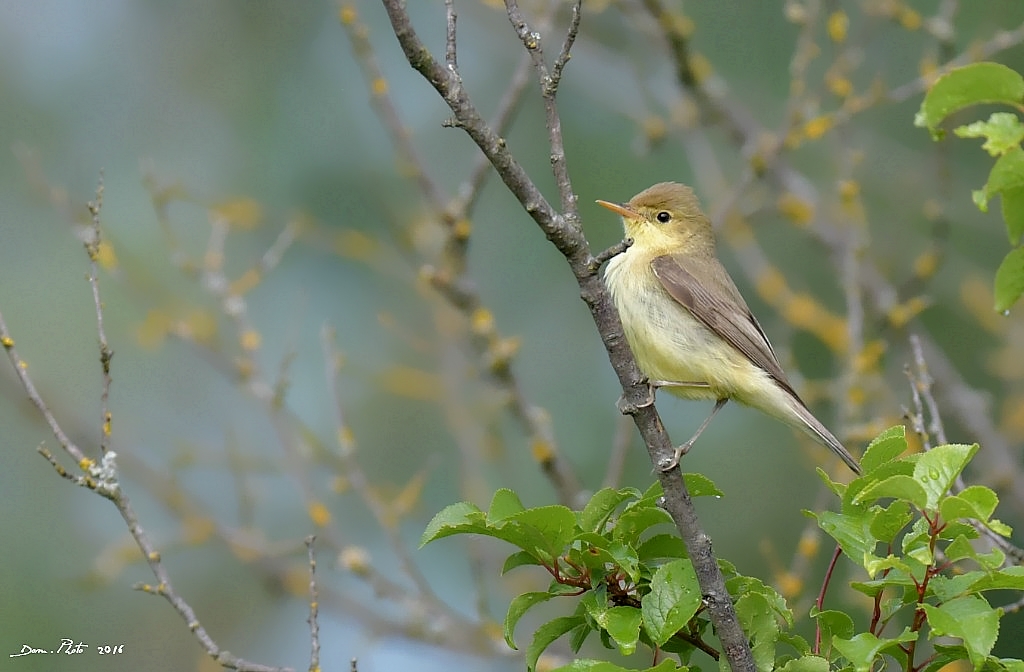 DSC_1016 IN.jpg