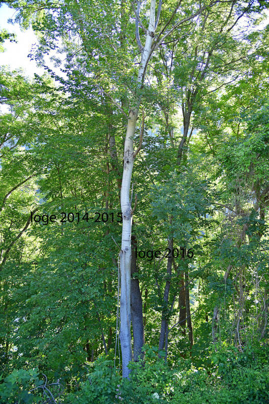 DS5_1406.jpg