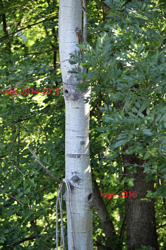 DS5_1408.jpg