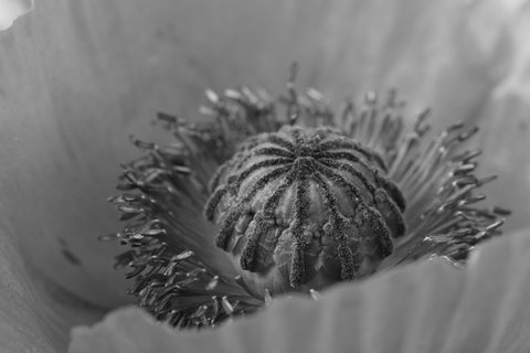 IMG_7453.JPG