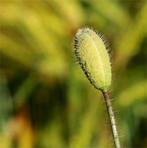 aIMG_6405.jpg
