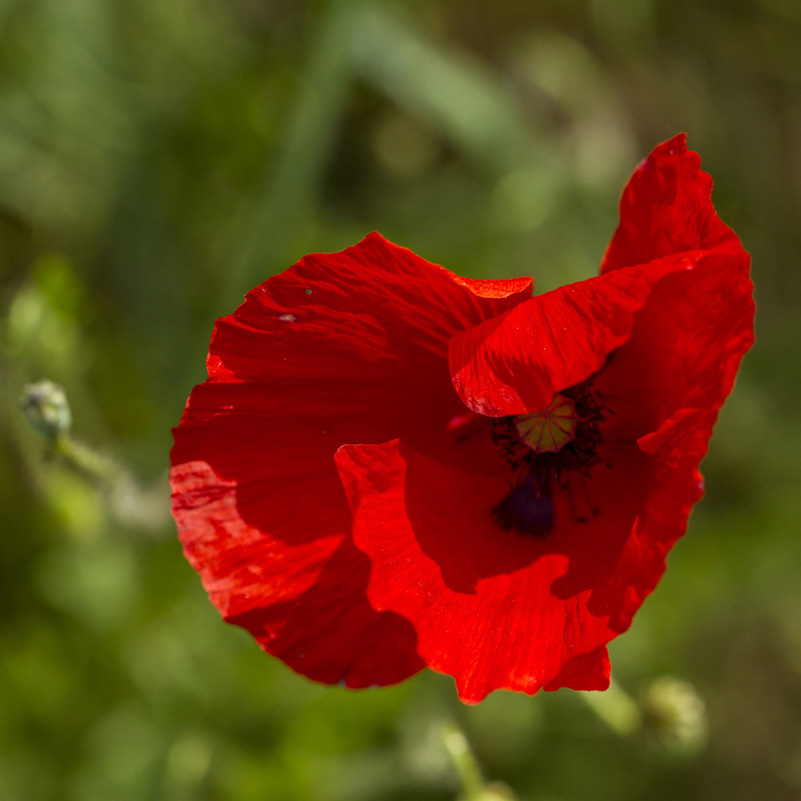 f96086960.jpg