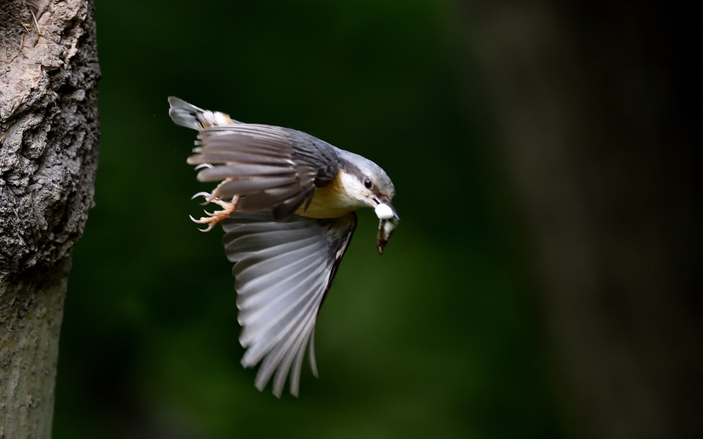 DSC_0417.jpg