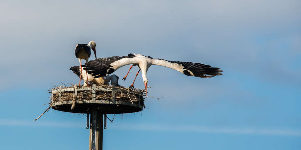 DSC_5086.jpg