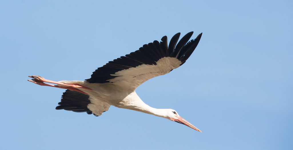 DSC_5089.jpg