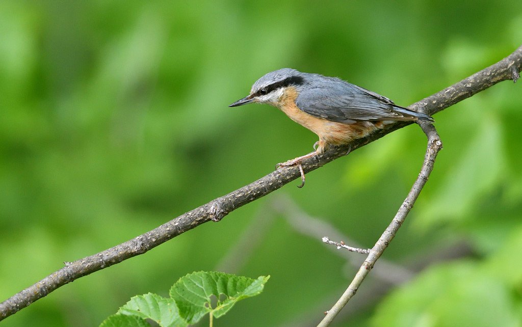 DSC_3397.jpg