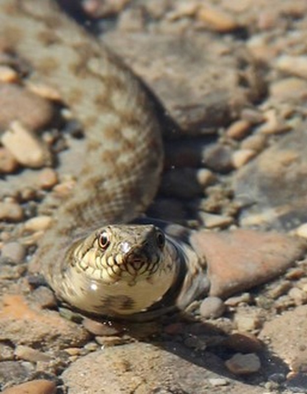 IMG_4013(3)(10)(11)(12).jpg