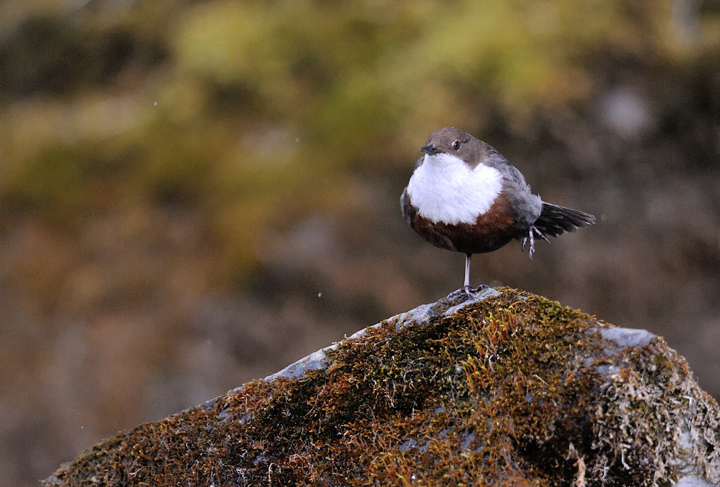 DSC_7120.jpg