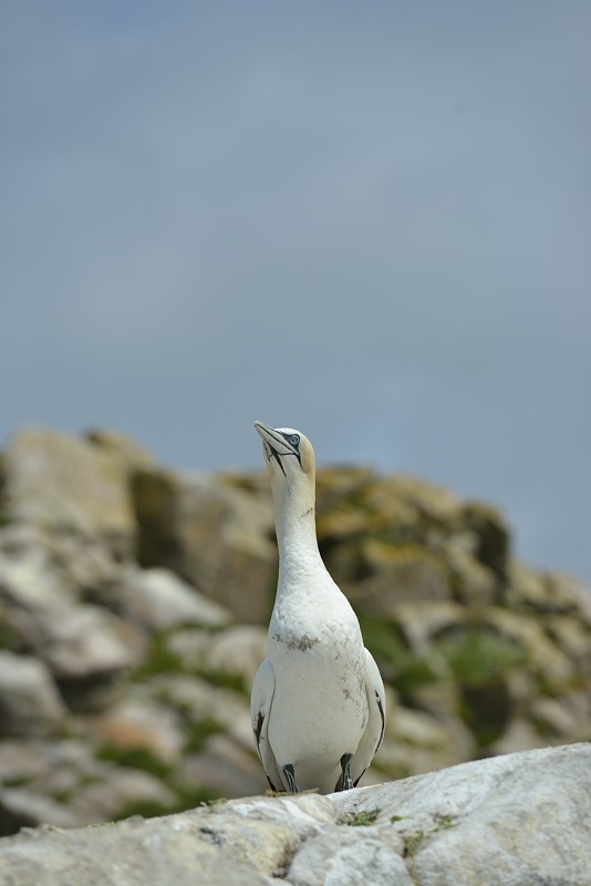 Irlande 2016_270.jpg